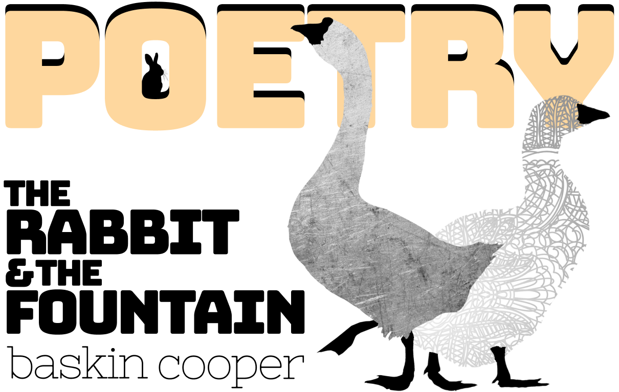 Poetry. The Rabbit and The Fountain, by Baskin Cooper. Image: two golden geese.